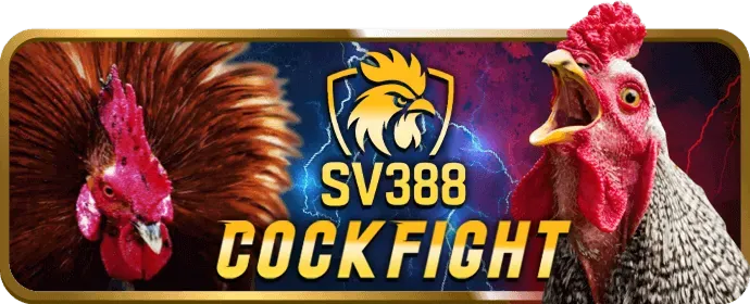 Ưu điểm của df999